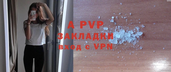 ГАЛЛЮЦИНОГЕННЫЕ ГРИБЫ Богданович