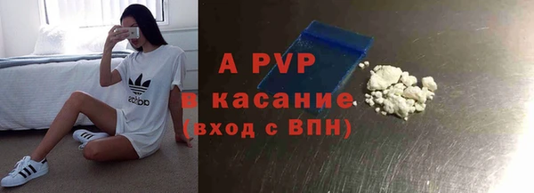 ГАЛЛЮЦИНОГЕННЫЕ ГРИБЫ Богданович