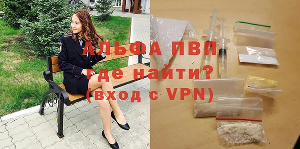 шишки Беломорск