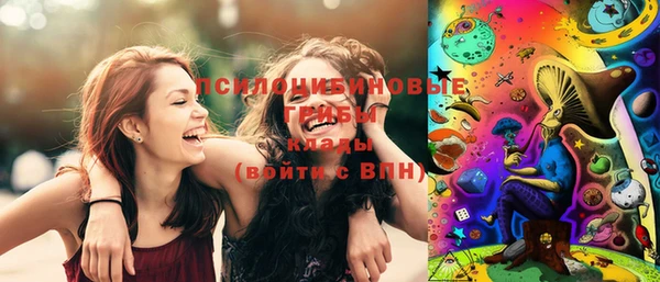 шишки Беломорск