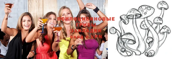 прущий лед Белокуриха