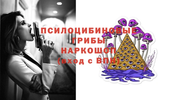 ГАЛЛЮЦИНОГЕННЫЕ ГРИБЫ Богданович