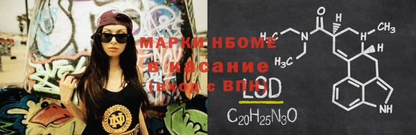 шишки Беломорск