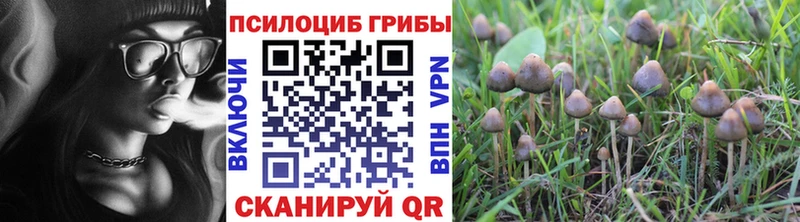 Галлюциногенные грибы прущие грибы  KRAKEN   Катайск  цена  